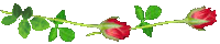 fline_050.gif