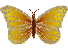 th_butterfly_43.gif?