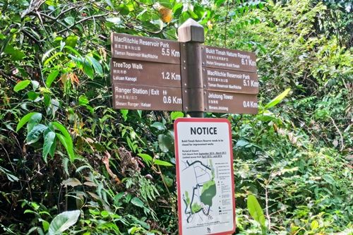 Macritchie Treetop Walk