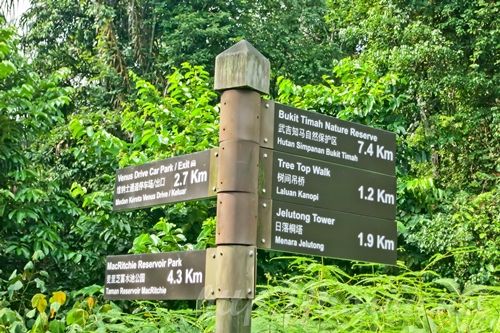 Macritchie Treetop Walk