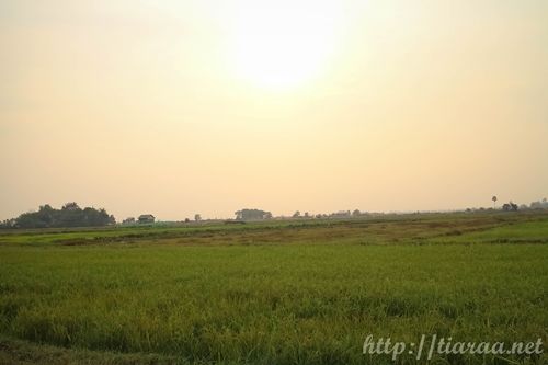 The Happy Ranch Horse Farm