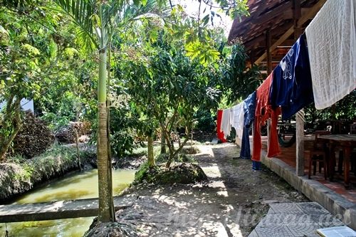 Bay Thoi Homestay