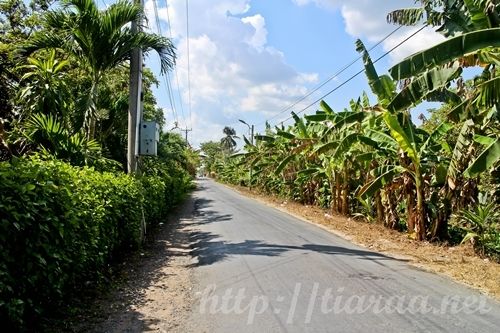 Bay Thoi Homestay