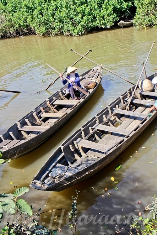 Mekong Delta