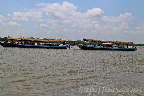 Mekong Delta