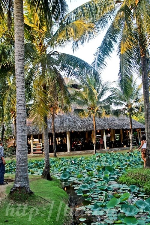 Mekong Delta