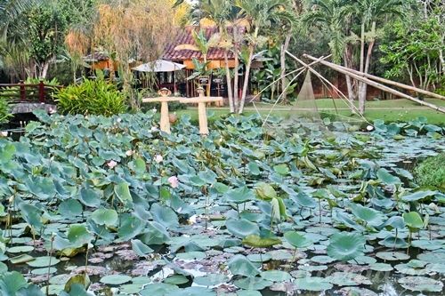 Mekong Delta