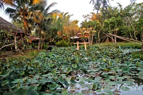 Mekong Delta