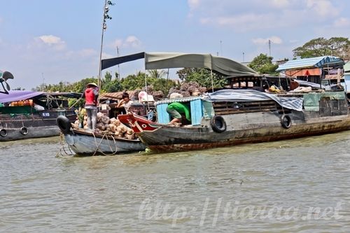 Mekong Delta