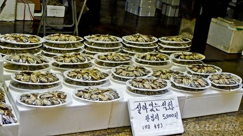Noryangjin Fisheries Wholesale Market 노량진수산시장