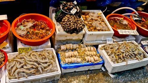 Noryangjin Fisheries Wholesale Market 노량진수산시장