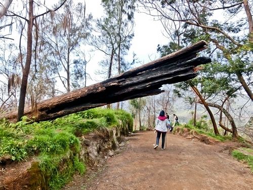 Kawah Ijen