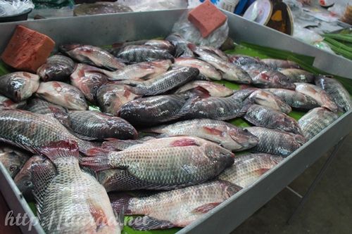 Wet Market in Chiangrai photo market CR13_zpsmpylb6pa.jpg