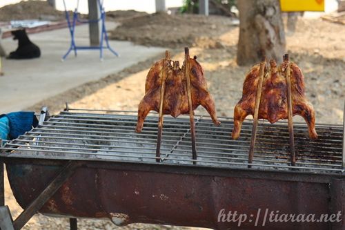 Grilled Meat photo meat CR2_zpsdwf3rtfw.jpg