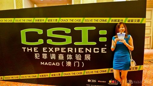 CSI The Experience