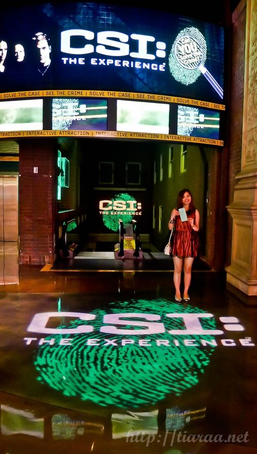 CSI the Experience