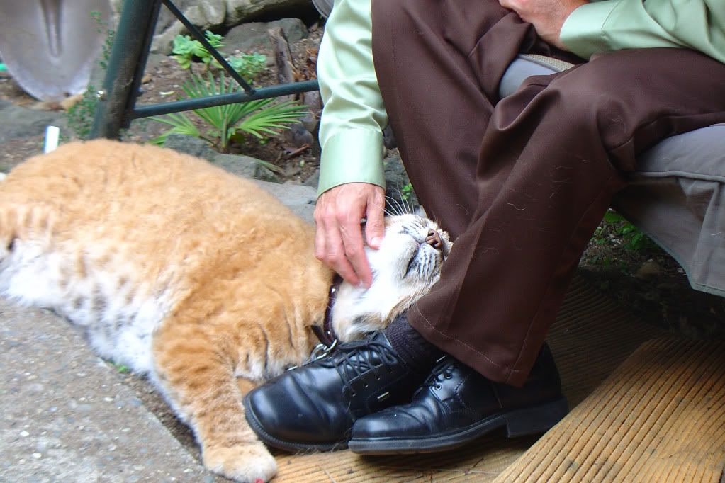 DSC00006-4.jpg