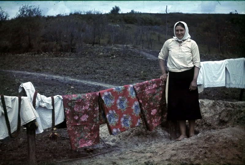 Белгородщина в 1943 г. 