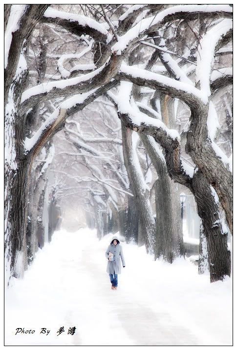 [原创摄影] 纽约中央公园雪景2_16P_图1-2