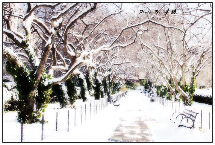 [原创摄影] 纽约中央公园雪景2_16P_图1-3