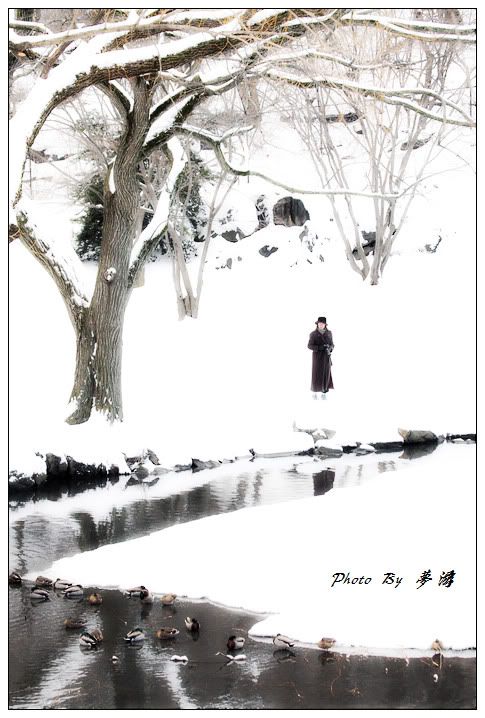 [原创摄影] 纽约中央公园雪景2_16P_图1-4