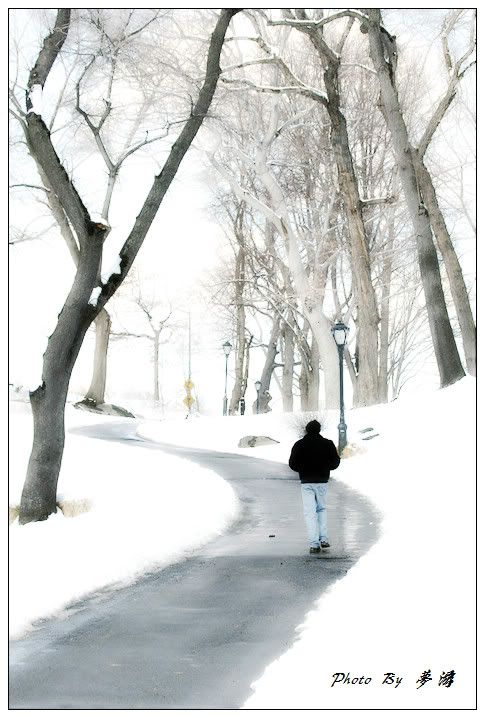 [原创摄影] 纽约中央公园雪景2_16P_图1-9