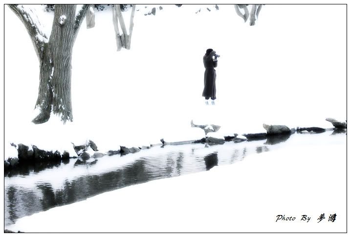 [原创摄影] 纽约中央公园雪景2_16P_图1-13