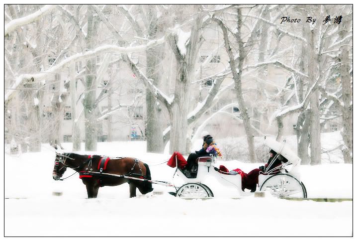 [原创摄影] 纽约中央公园雪景2_16P_图1-14