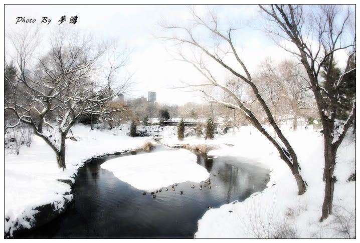 [原创摄影] 纽约中央公园雪景2_16P_图1-15