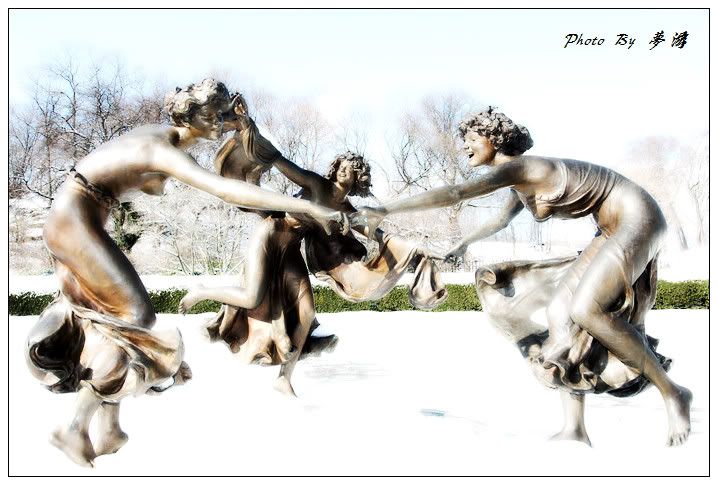 [原创摄影] 纽约中央公园雪景2_16P_图1-16