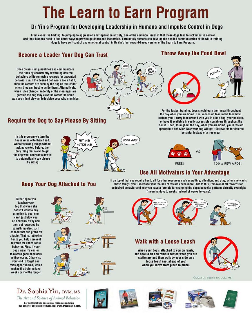 rewarding and punishing the same behavior rewarding and punishing the same behavior