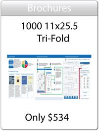 1000 11x25.5 Brochures $534