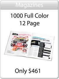 1000 Magazines For $461