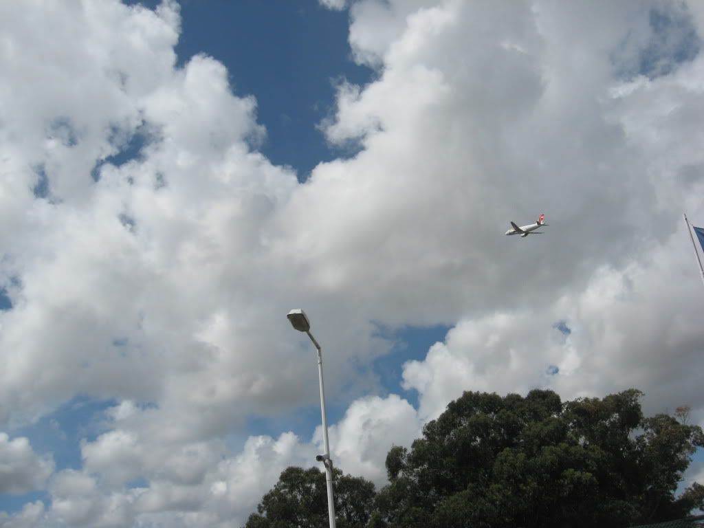 IMG_2965.jpg