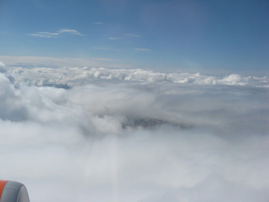 IMG_3000.jpg