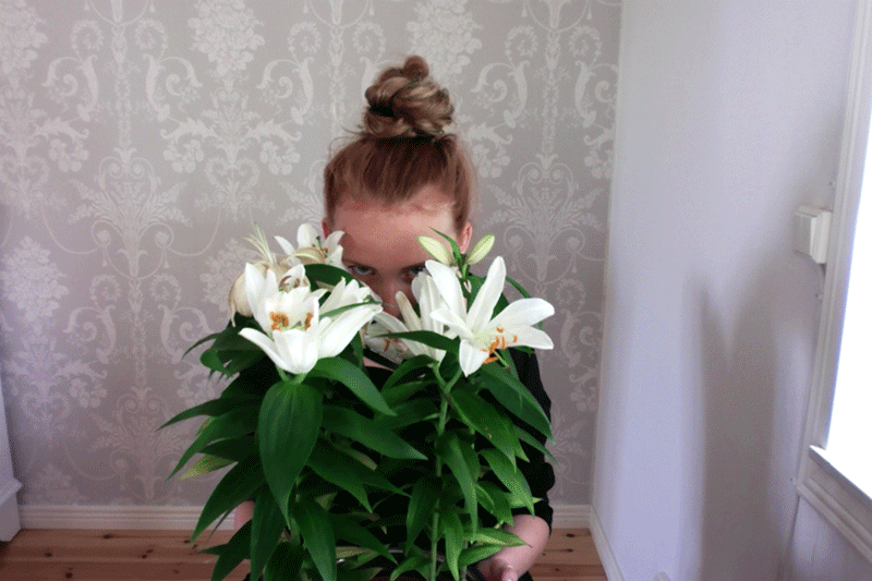 photo gif3.gif