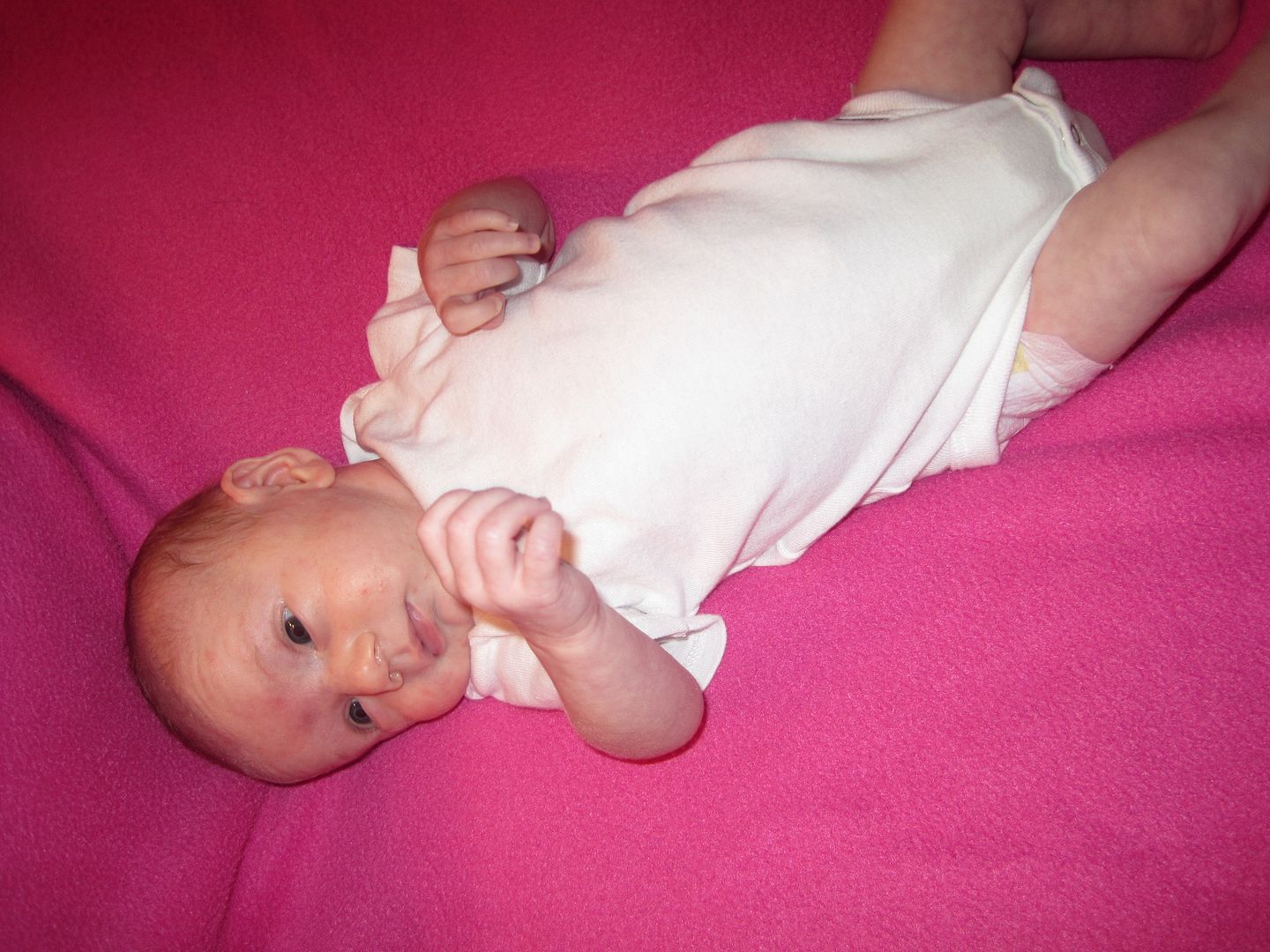 Maddie one month old © lhumphrey8 biotin one month