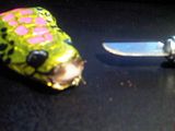 th_IMG00107-20101202-2134.jpg