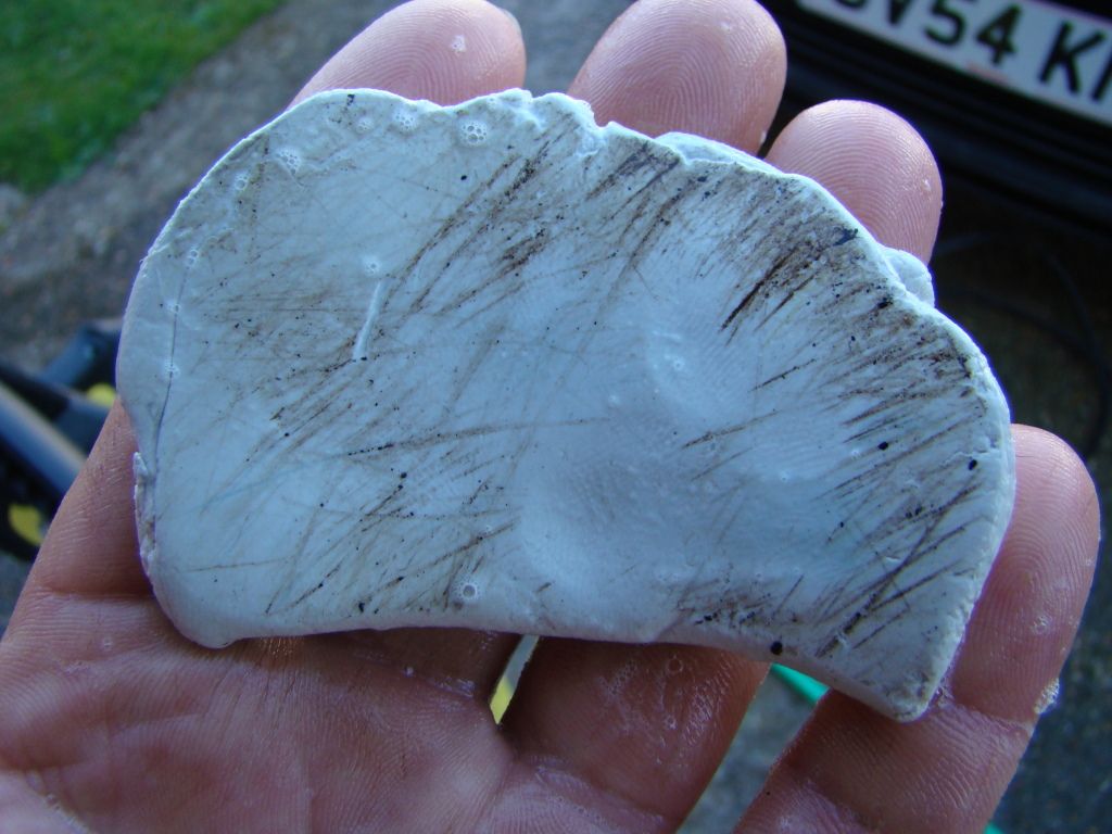 DSC03101.jpg