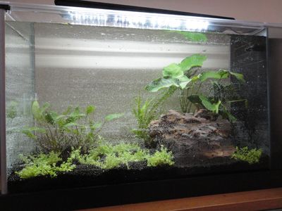 Fluval Stratum Substrate For Planted Aquariums Youtube