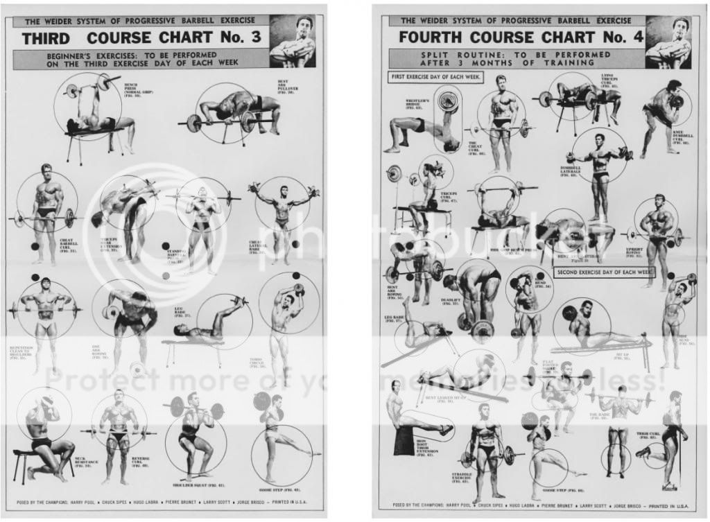 Joe Weider Exercise Chart