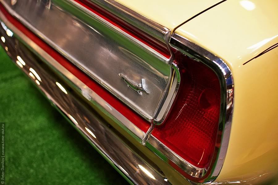 Barracuda