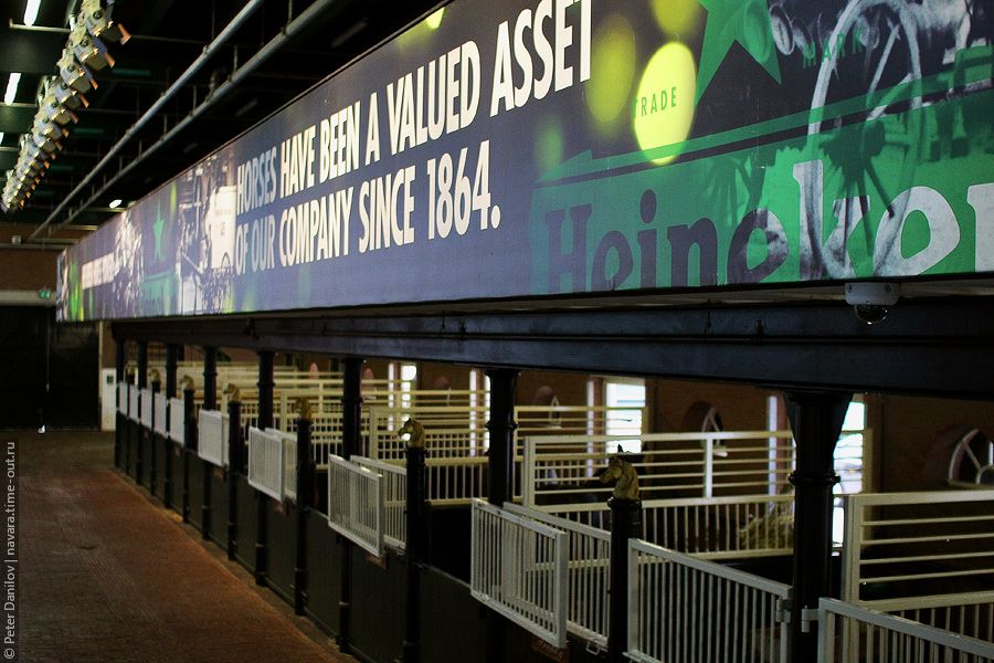 Дуэт Д по Амстелу, часть 3: Heineken Experience