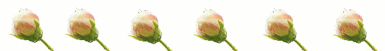 aad107.gif?t=1318009