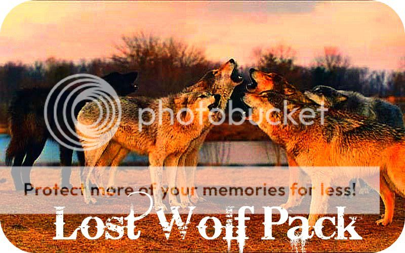 Lost Wolf Pack of the South Mountains banner