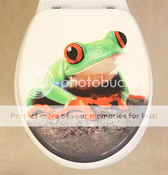 Toilet Seat Novelty Fabulous Funky Frog High Gloss Laquered Universal ...