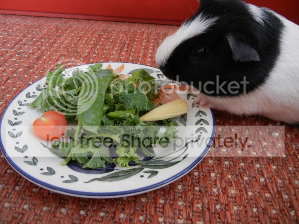 DSCN0930.jpg