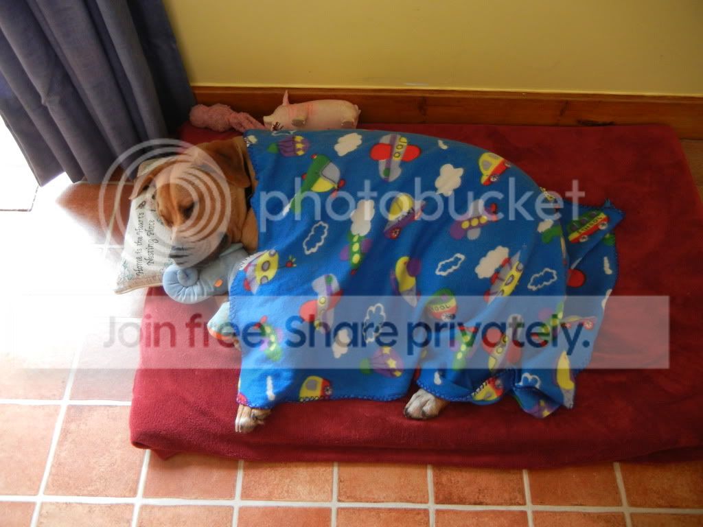 DSCN1101.jpg