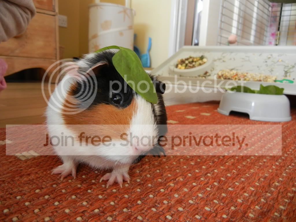 DSCN1103.jpg