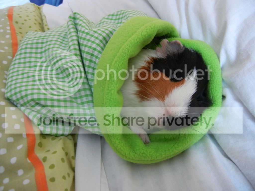 DSCN1128.jpg